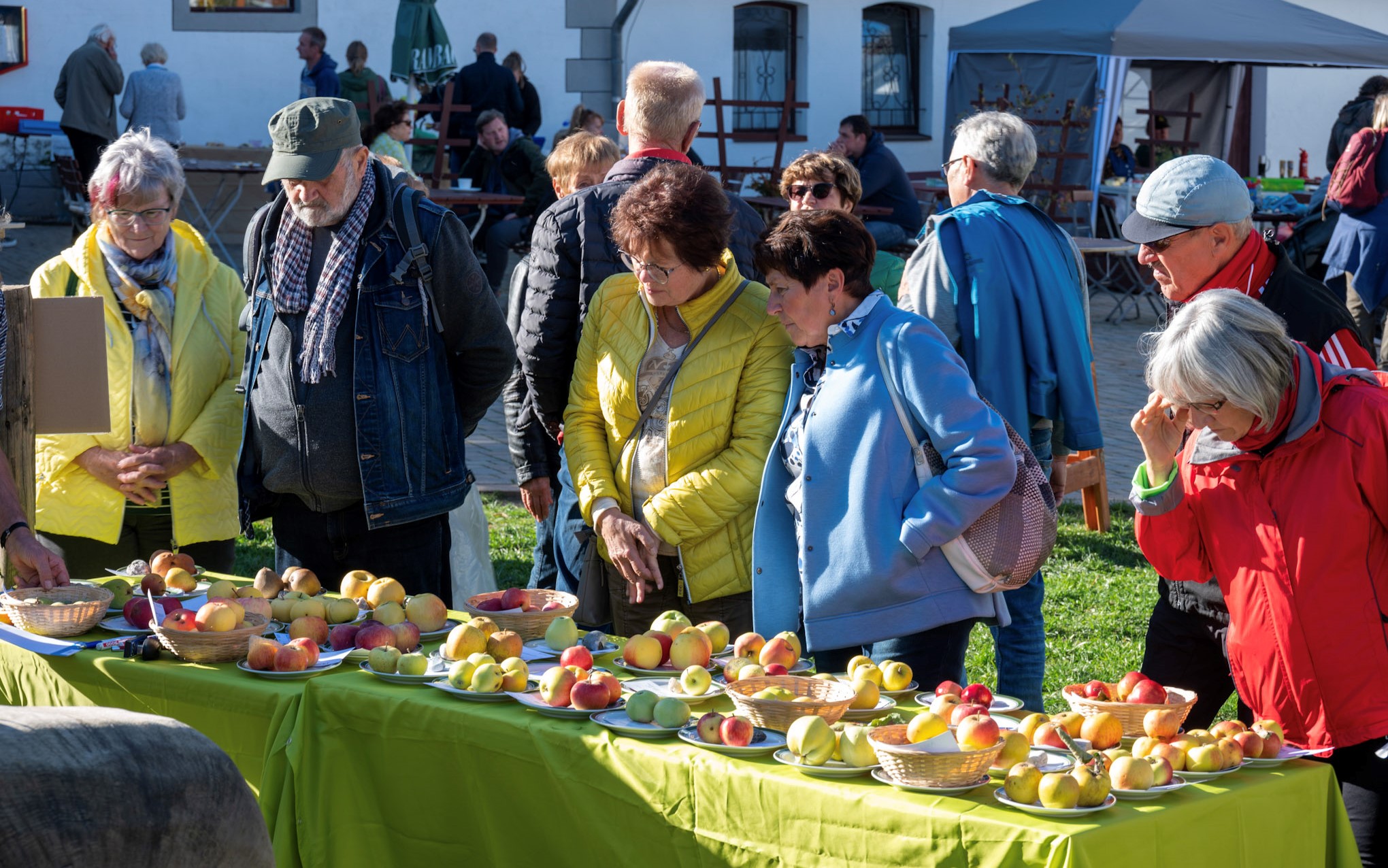 02 c590eb12f5e319f01db912a982468c3d