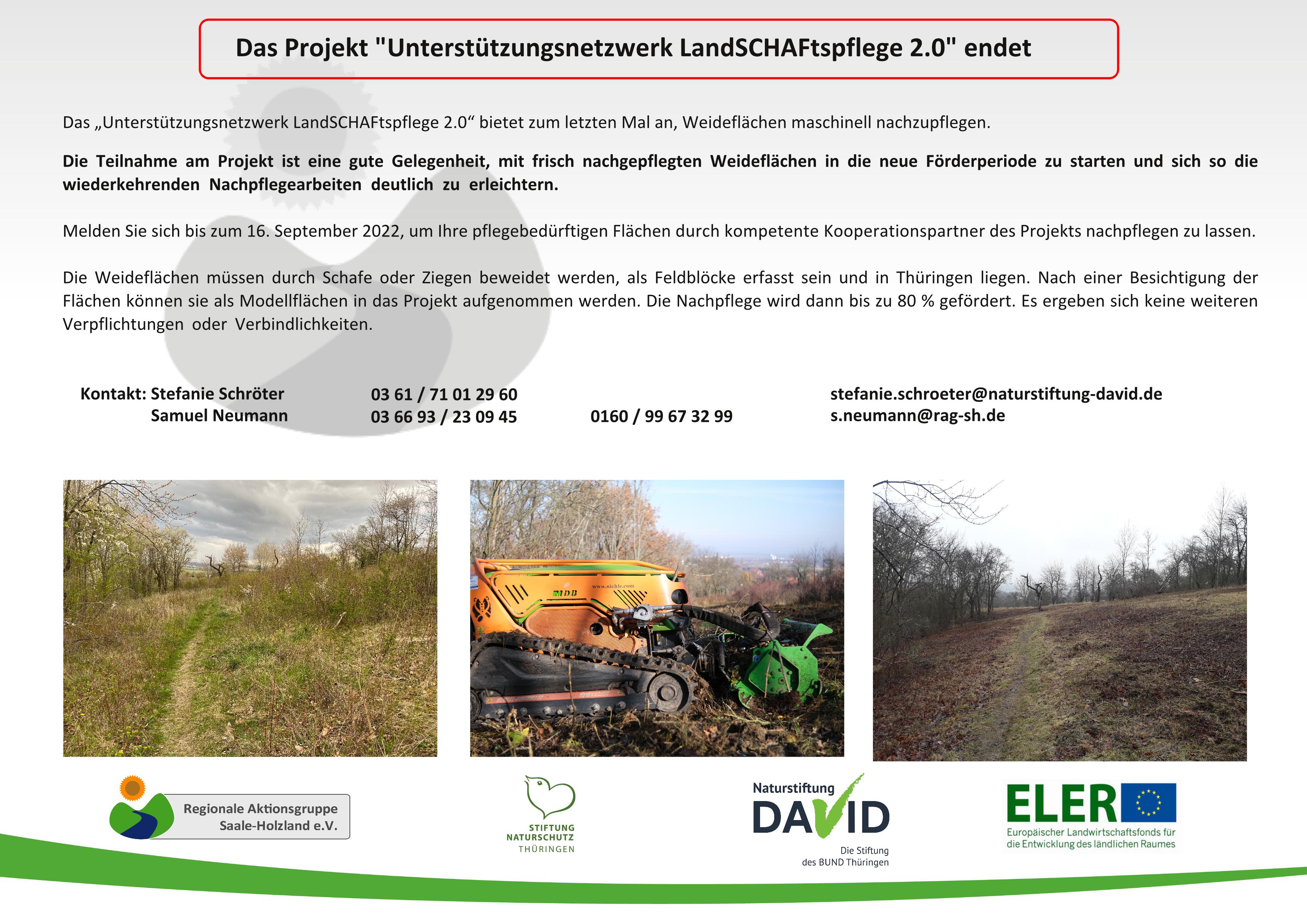 aktueller aufruf schaf