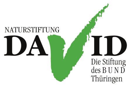 logo naturstiftung david